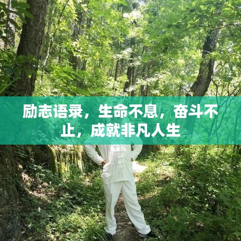 勵(lì)志語(yǔ)錄，生命不息，奮斗不止，成就非凡人生