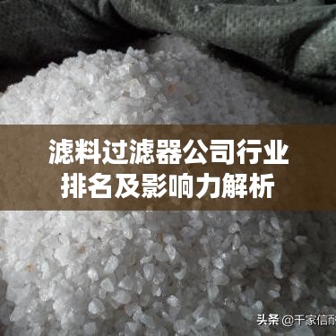 濾料過(guò)濾器公司行業(yè)排名及影響力解析