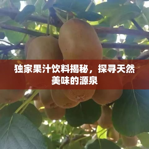 獨家果汁飲料揭秘，探尋天然美味的源泉