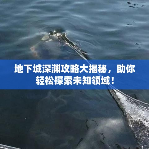 地下城深淵攻略大揭秘，助你輕松探索未知領(lǐng)域！
