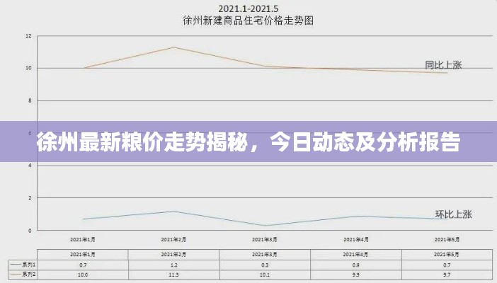 徐州最新糧價(jià)走勢(shì)揭秘，今日動(dòng)態(tài)及分析報(bào)告
