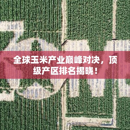 全球玉米產(chǎn)業(yè)巔峰對決，頂級產(chǎn)區(qū)排名揭曉！