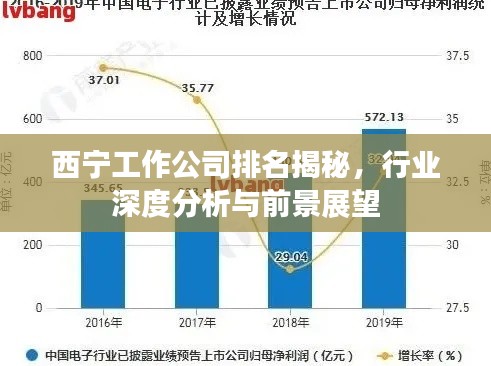 西寧工作公司排名揭秘，行業(yè)深度分析與前景展望
