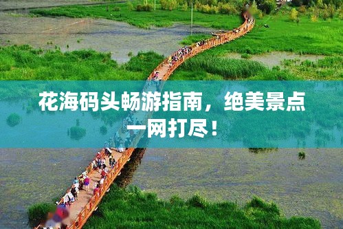 花海碼頭暢游指南，絕美景點(diǎn)一網(wǎng)打盡！