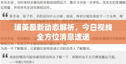 埔美最新動(dòng)態(tài)解析，今日視線全方位消息速遞