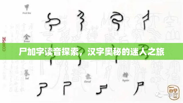 尸加字讀音探索，漢字奧秘的迷人之旅