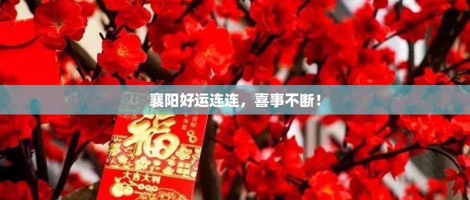 襄陽(yáng)好運(yùn)連連，喜事不斷！