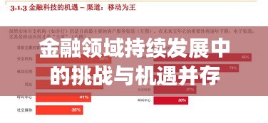 金融領(lǐng)域持續(xù)發(fā)展中的挑戰(zhàn)與機遇并存