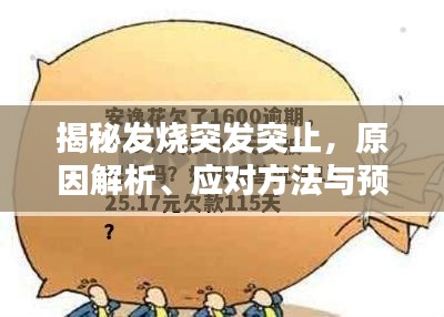 揭秘發(fā)燒突發(fā)突止，原因解析、應(yīng)對方法與預(yù)防策略全攻略