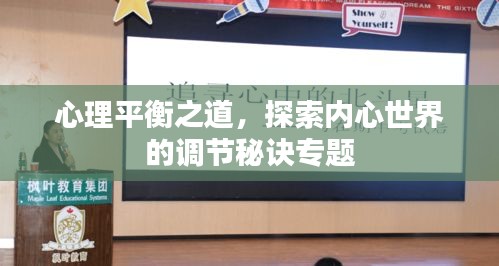 心理平衡之道，探索內(nèi)心世界的調(diào)節(jié)秘訣專題