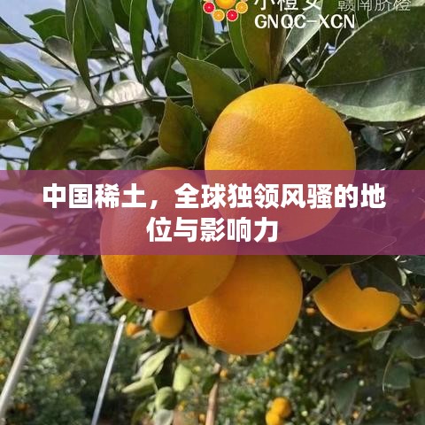 中國(guó)稀土，全球獨(dú)領(lǐng)風(fēng)騷的地位與影響力