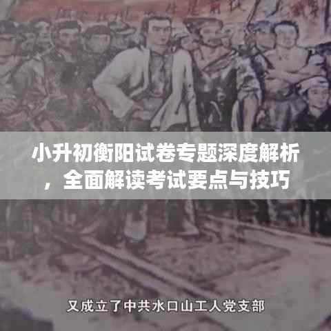 小升初衡陽試卷專題深度解析，全面解讀考試要點與技巧