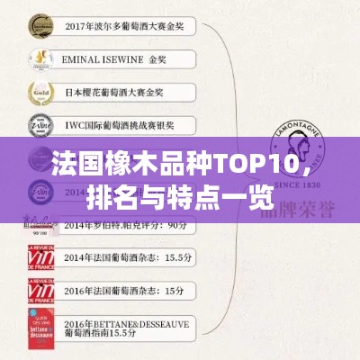 法國橡木品種TOP10，排名與特點一覽