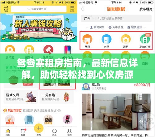 鴛鴦寨租房指南，最新信息詳解，助你輕松找到心儀房源