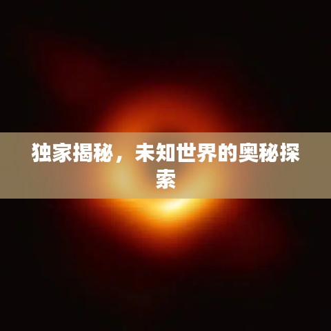 獨(dú)家揭秘，未知世界的奧秘探索