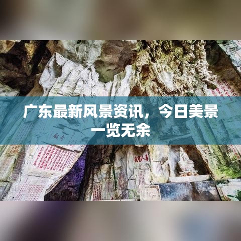 廣東最新風(fēng)景資訊，今日美景一覽無余