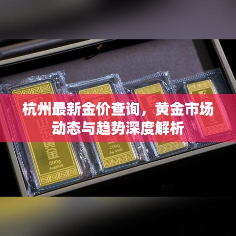 杭州最新金價(jià)查詢，黃金市場(chǎng)動(dòng)態(tài)與趨勢(shì)深度解析