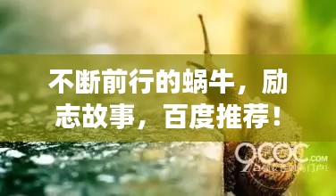 不斷前行的蝸牛，勵(lì)志故事，百度推薦！