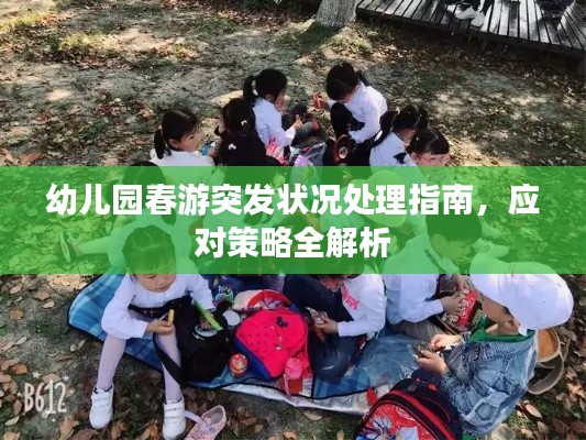 幼兒園春游突發(fā)狀況處理指南，應(yīng)對策略全解析