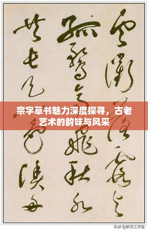 宗字草書魅力深度探尋，古老藝術的韻味與風采