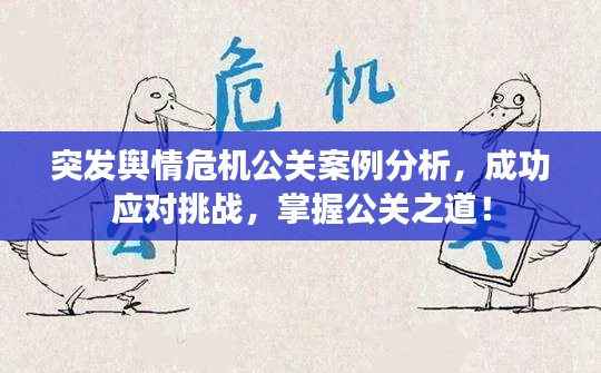 突發(fā)輿情危機公關(guān)案例分析，成功應(yīng)對挑戰(zhàn)，掌握公關(guān)之道！