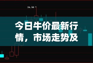 今日牛價最新行情，市場走勢及影響因素深度解析