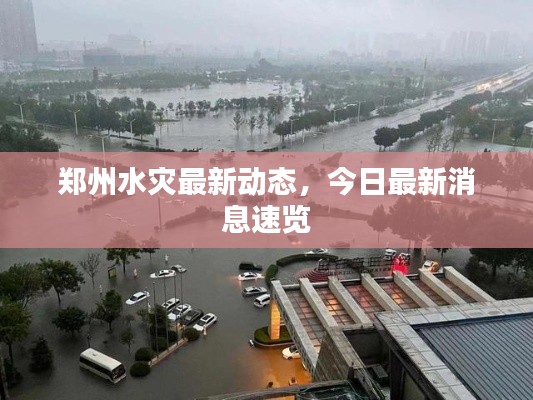 鄭州水災(zāi)最新動(dòng)態(tài)，今日最新消息速覽