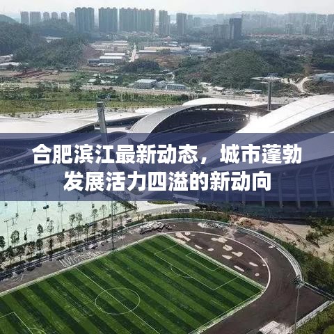 合肥濱江最新動態(tài)，城市蓬勃發(fā)展活力四溢的新動向