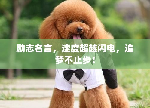 勵志名言，速度超越閃電，追夢不止步！