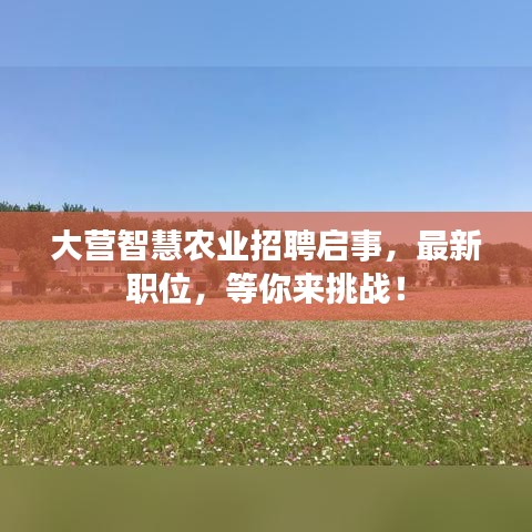 大營(yíng)智慧農(nóng)業(yè)招聘啟事，最新職位，等你來挑戰(zhàn)！