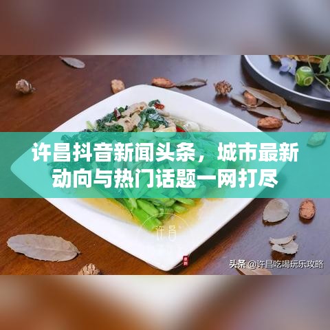 許昌抖音新聞頭條，城市最新動向與熱門話題一網(wǎng)打盡